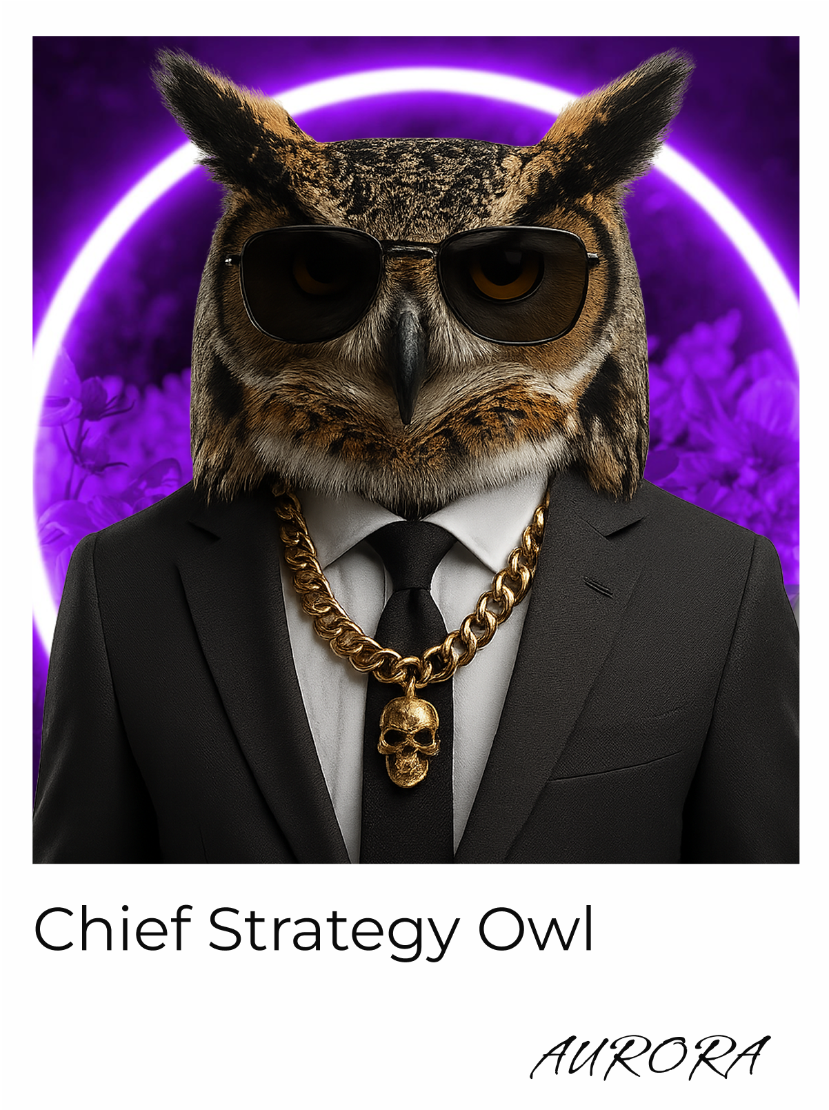 Aurora Owl